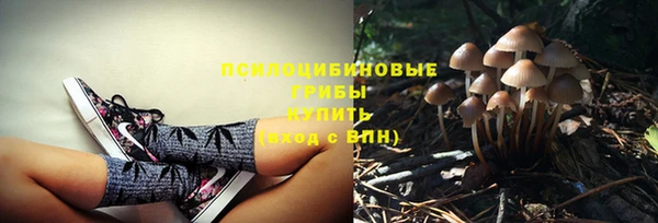 тгк Ростов