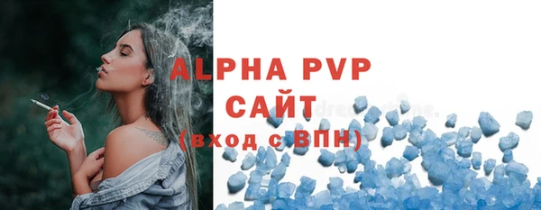 гидра Рославль