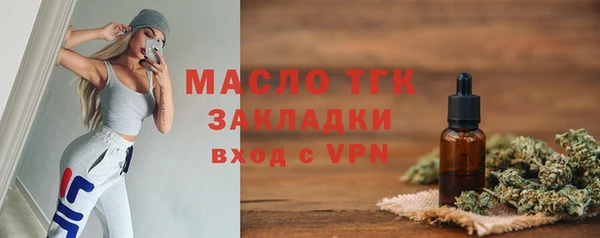 гидра Рославль