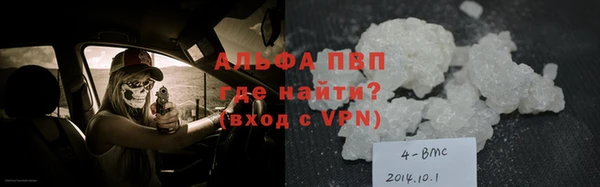 тгк Ростов
