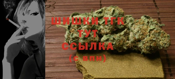 гидра Рославль