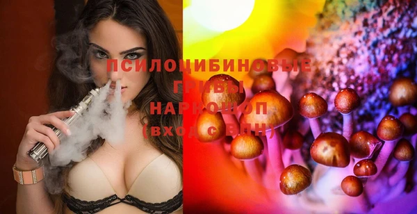 тгк Ростов