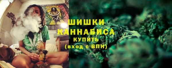 гидра Рославль
