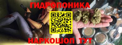 крисы Пугачёв