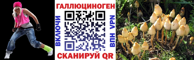 Псилоцибиновые грибы GOLDEN TEACHER  гидра ссылки  Россошь 