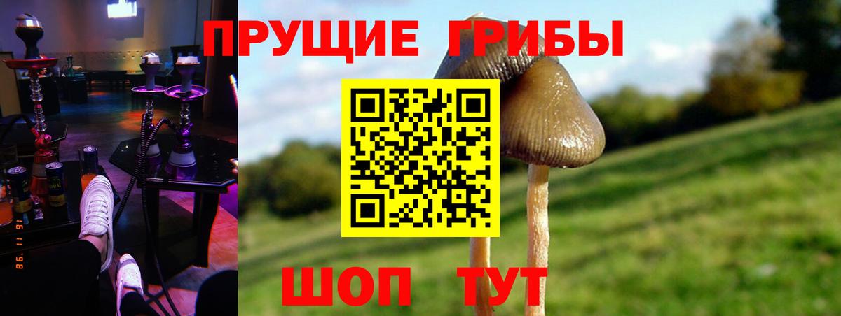 Галлюциногенные грибы ЛСД Россошь