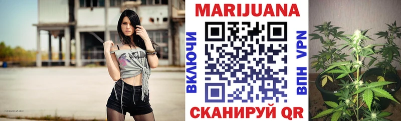 МАРИХУАНА ГИДРОПОН  купить наркотик  мориарти как зайти  Россошь 